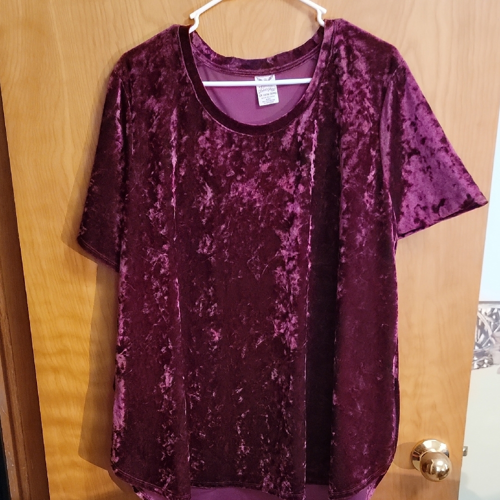 Velvet Purple Women's Top